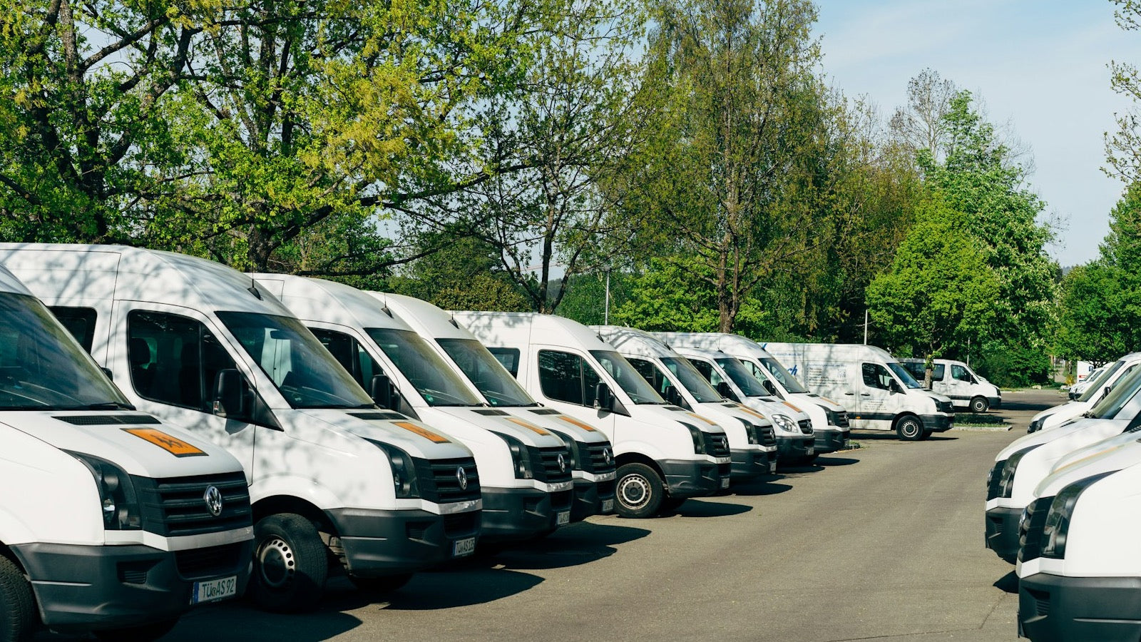 Rows of commercial vans ready for fleet graphics planning and production